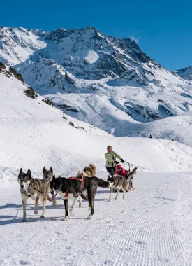 Sled dogs Val Thorens