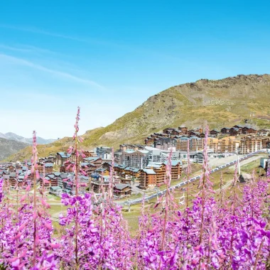 Fireweed Val Thorens in summer