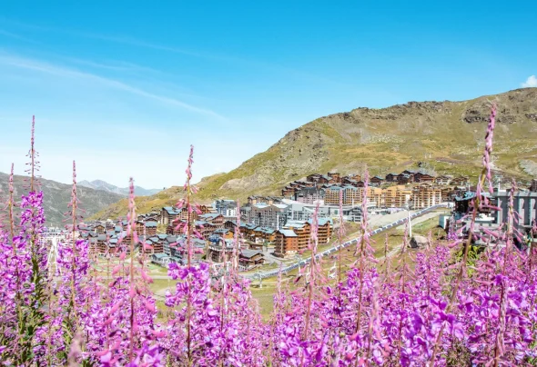 Fireweed Val Thorens d'estate