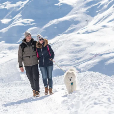 Cammina con un cane sul sentiero di montagna